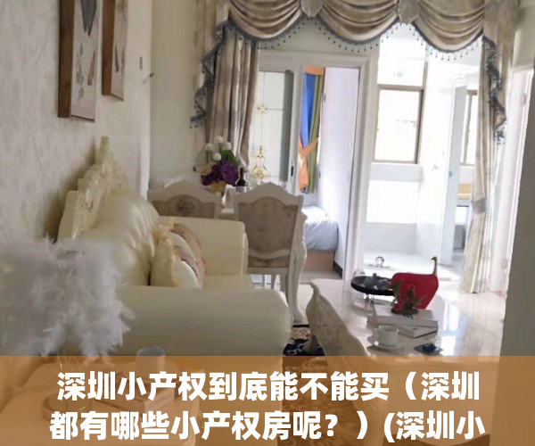 深圳小产权到底能不能买（深圳都有哪些小产权房呢？）(深圳小产权到底可以买吗)