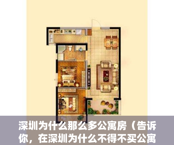 深圳为什么那么多公寓房（告诉你，在深圳为什么不得不买公寓）(为什么深圳的公寓卖这么贵)
