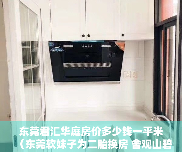 东莞君汇华庭房价多少钱一平米（东莞软妹子为二胎换房 舍观山碧水买君汇华庭二手房）