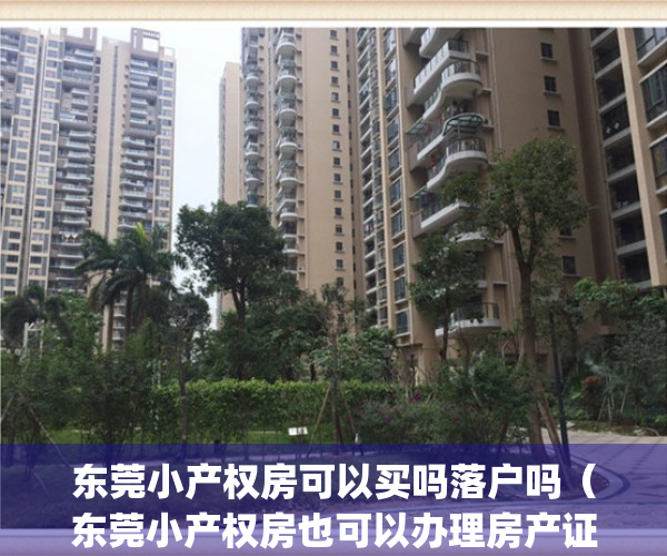 东莞小产权房可以买吗落户吗（东莞小产权房也可以办理房产证吗？）(东莞小产权好出手吗)