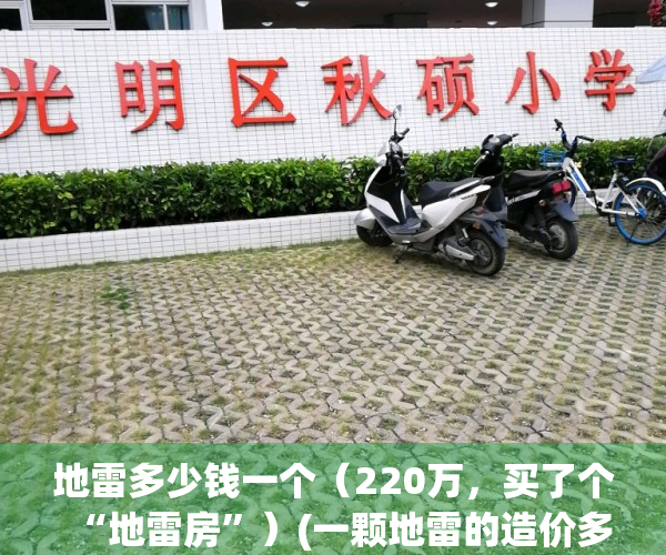 地雷多少钱一个（220万，买了个“地雷房”）(一颗地雷的造价多少钱)