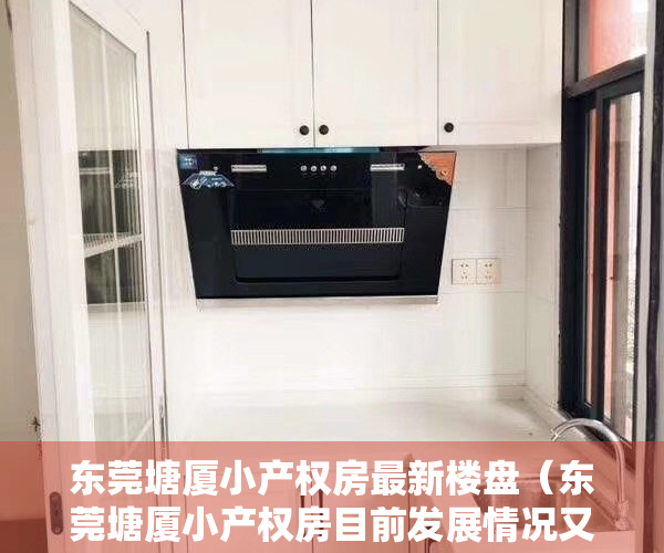 东莞塘厦小产权房最新楼盘（东莞塘厦小产权房目前发展情况又是怎样的？）