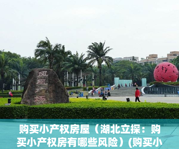 购买小产权房屋（湖北立探：购买小产权房有哪些风险）(购买小产权房的风险以及治理策略)