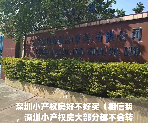 深圳小产权房好不好买（相信我，深圳小产权房大部分都不会转正！）(深圳小产权房何去何从)