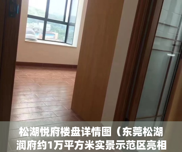 松湖悦府楼盘详情图（东莞松湖润府约1万平方米实景示范区亮相）(松湖悦府价格走势)