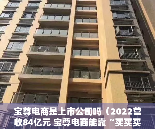 宝尊电商是上市公司吗（2022营收84亿元 宝尊电商能靠“买买买”实现5年突破吗？）