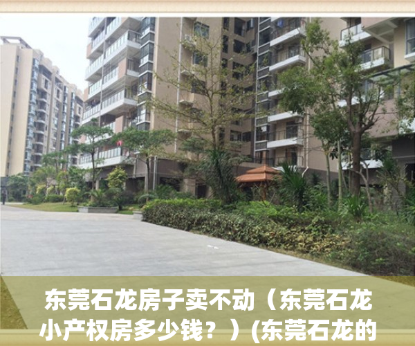 东莞石龙房子卖不动（东莞石龙小产权房多少钱？）(东莞石龙的房子值得投资吗)