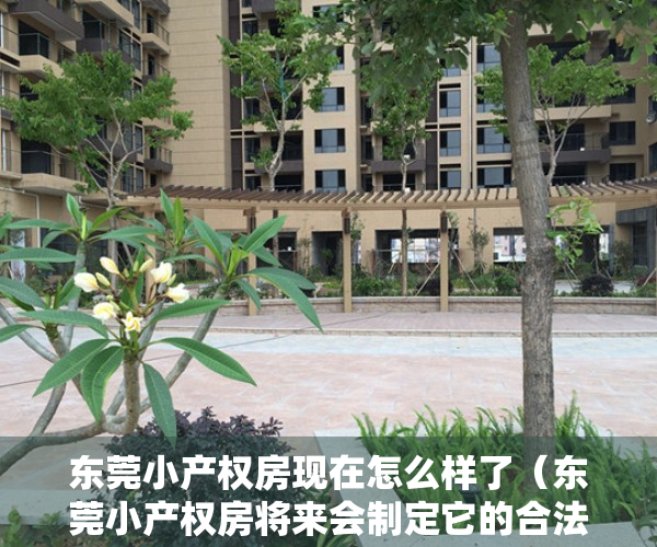 东莞小产权房现在怎么样了（东莞小产权房将来会制定它的合法性吗？）