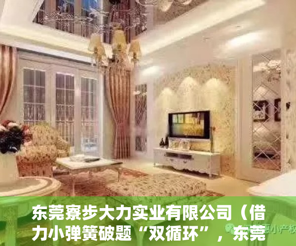 东莞寮步大力实业有限公司（借力小弹簧破题“双循环”，东莞大岭山家具厂大力拓展国内市场）