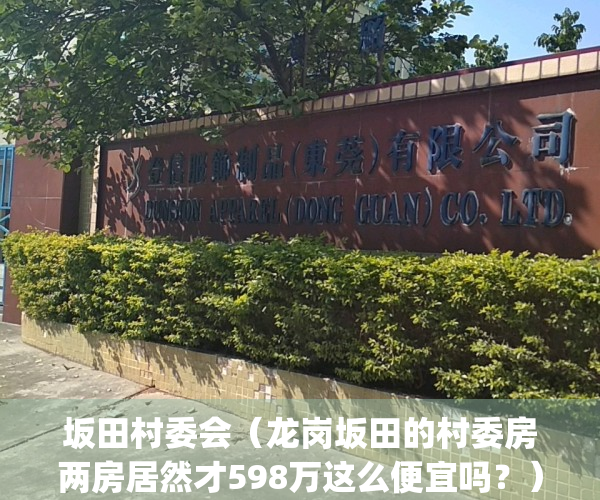 坂田村委会（龙岗坂田的村委房两房居然才598万这么便宜吗？）(龙岗区坂田街道有哪些村)