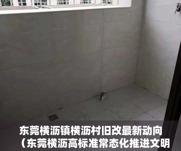 东莞横沥镇横沥村旧改最新动向（东莞横沥高标准常态化推进文明创建工作）