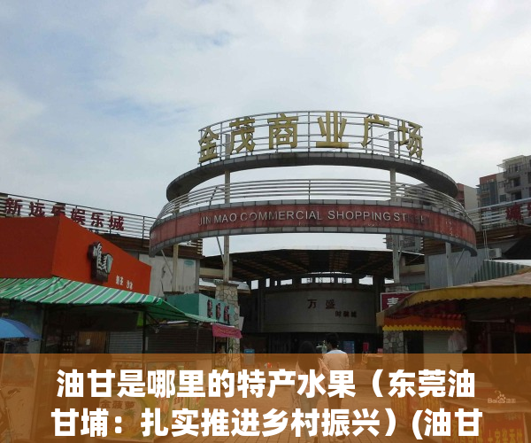 油甘是哪里的特产水果（东莞油甘埔：扎实推进乡村振兴）(油甘什么意思)