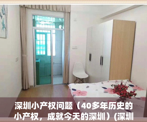 深圳小产权问题（40多年历史的小产权，成就今天的深圳）(深圳小产权2021年火了)
