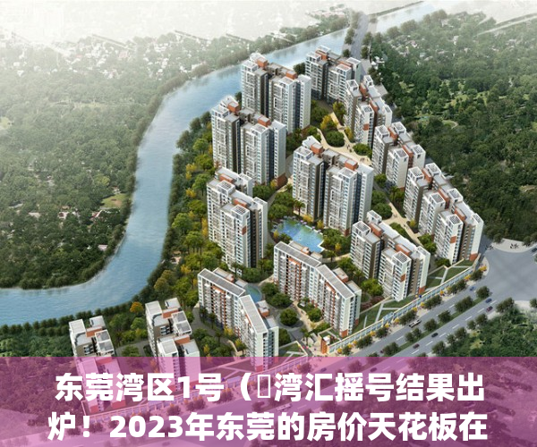 东莞湾区1号（瑧湾汇摇号结果出炉！2023年东莞的房价天花板在哪里？）(东莞湾区发展规划纲要 全文)