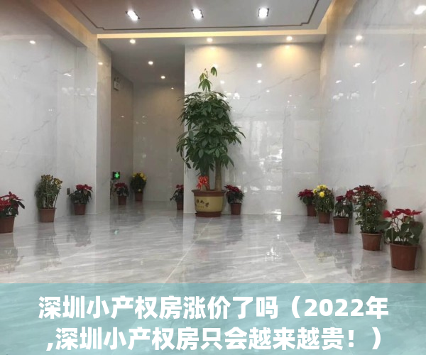 深圳小产权房涨价了吗（2022年,深圳小产权房只会越来越贵！）(2021深圳小产权房涨价)