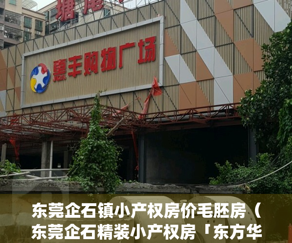 东莞企石镇小产权房价毛胚房（东莞企石精装小产权房「东方华府」）(企石镇小产权房子多少每平方)