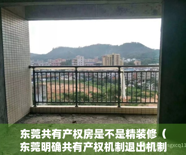 东莞共有产权房是不是精装修（东莞明确共有产权机制退出机制，购买新商品房需退出原有共有产权房）