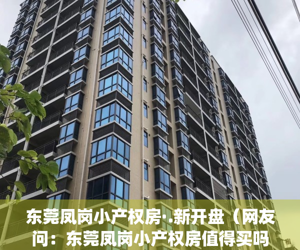东莞凤岗小产权房·.新开盘（网友问：东莞凤岗小产权房值得买吗）(东莞凤岗小镇)