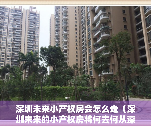 深圳未来小产权房会怎么走（深圳未来的小产权房将何去何从深圳小产权房最新讯息）