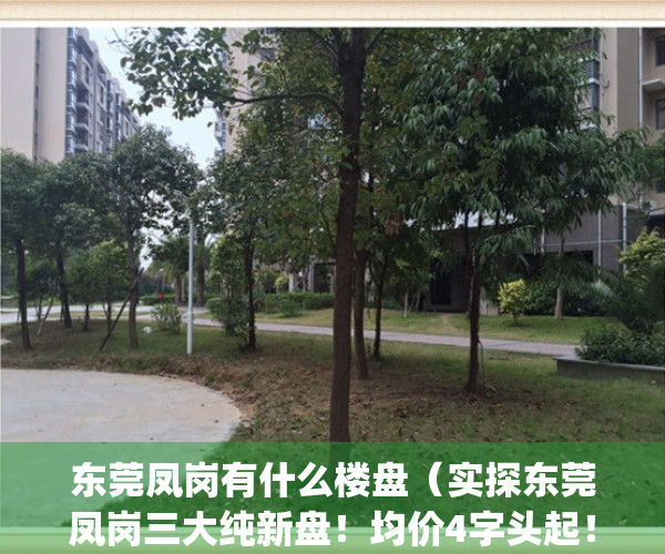 东莞凤岗有什么楼盘（实探东莞凤岗三大纯新盘！均价4字头起！）(东莞凤岗最新楼盘房价)