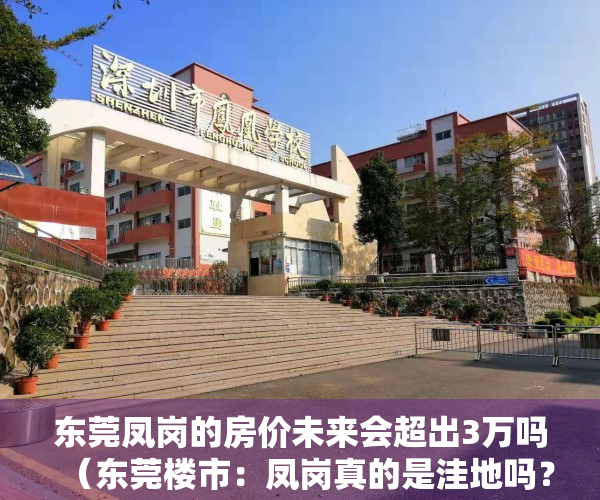 东莞凤岗的房价未来会超出3万吗（东莞楼市：凤岗真的是洼地吗？关键是房价！注意投资）