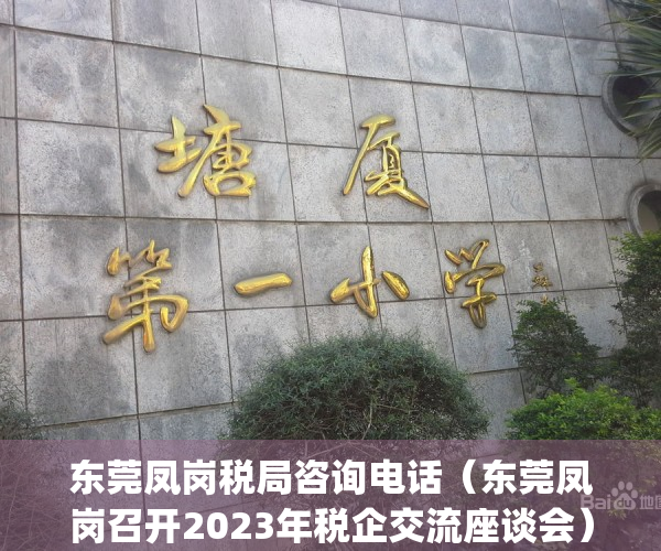 东莞凤岗税局咨询电话（东莞凤岗召开2023年税企交流座谈会）(东莞凤岗镇税务局)