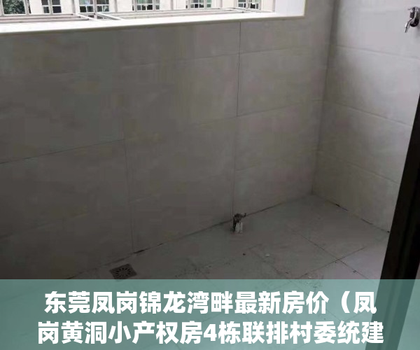 东莞凤岗锦龙湾畔最新房价（凤岗黄洞小产权房4栋联排村委统建楼《锦龙二期》首付5成 分期3年  三房两厅698万起   毛胚交房  手续齐全 深莞0距离）