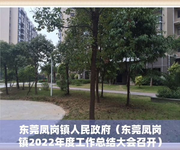 东莞凤岗镇人民政府（东莞凤岗镇2022年度工作总结大会召开）