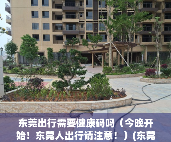 东莞出行需要健康码吗（今晚开始！东莞人出行请注意！）(东莞出行需要做核酸吗)