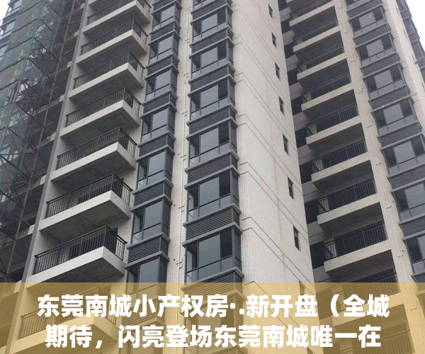 东莞南城小产权房·.新开盘（全城期待，闪亮登场东莞南城唯一在售最新小产权房-村委统建楼盛大开盘）