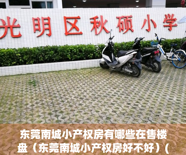 东莞南城小产权房有哪些在售楼盘（东莞南城小产权房好不好）(东莞南城小区大全)