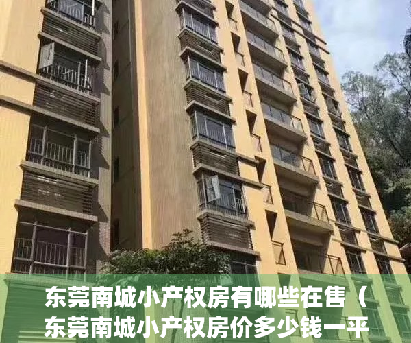 东莞南城小产权房有哪些在售（东莞南城小产权房价多少钱一平米）(东莞南城小区房价)