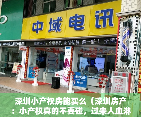 深圳小产权房能买么（深圳房产：小产权真的不要碰，过来人血淋淋的教训）