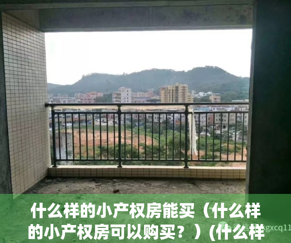 什么样的小产权房能买（什么样的小产权房可以购买？）(什么样的小产权房才有保不会被拆)