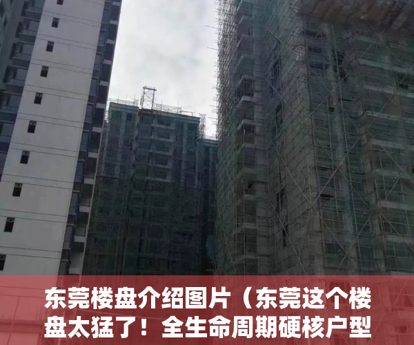 东莞楼盘介绍图片（东莞这个楼盘太猛了！全生命周期硬核户型！个个都是爆款）