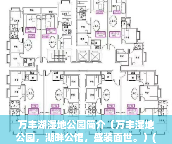 万丰湖湿地公园简介（万丰湿地公园，湖畔公馆，盛装面世。）(万丰湖畔怎么样)