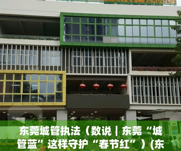 东莞城管执法（数说｜东莞“城管蓝”这样守护“春节红”）(东莞城管现在管理的政策)