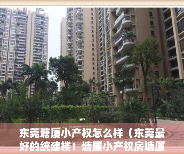 东莞塘厦小产权怎么样（东莞最好的统建楼！塘厦小产权房塘厦碧桂园天麓山旁小产权房《香蜜国际》5栋大型花园统建楼 带燃气和停车场 首付3成银行分期8年）