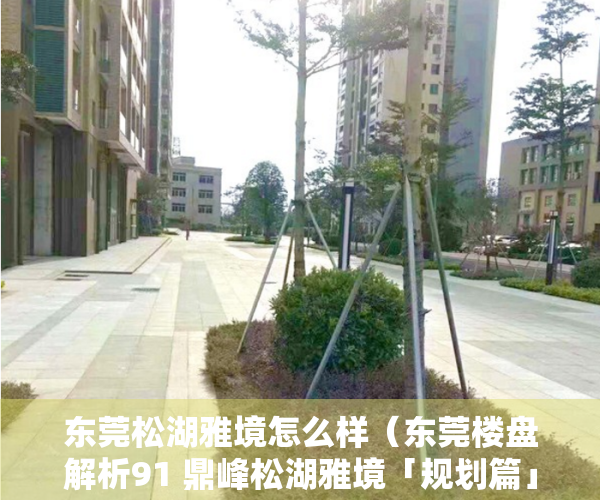 东莞松湖雅境怎么样（东莞楼盘解析91 鼎峰松湖雅境「规划篇」）
