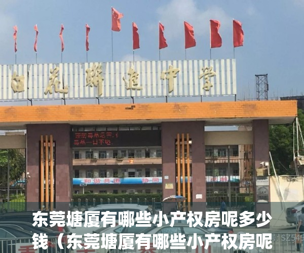 东莞塘厦有哪些小产权房呢多少钱（东莞塘厦有哪些小产权房呢？）(东莞塘厦最好的小产权房)