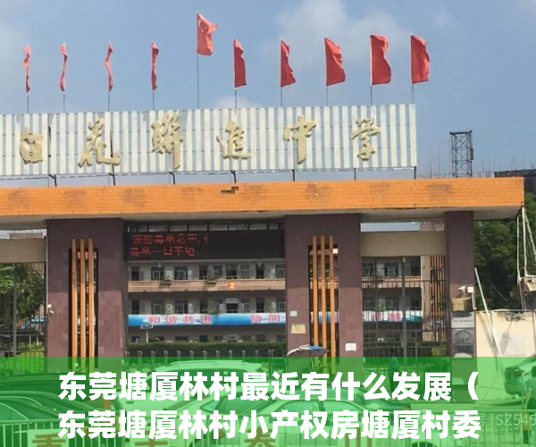 东莞塘厦林村最近有什么发展（东莞塘厦林村小产权房塘厦村委统建楼《建安大厦》特价三房二厅458万一套起 《建安大厦》真正的高铁物业 采光极好 户型方正）