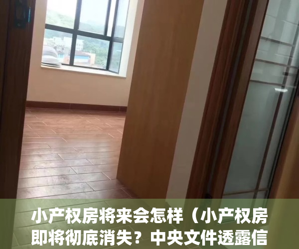 小产权房将来会怎样（小产权房即将彻底消失？中央文件透露信号）(2021小产权房会解决吗)