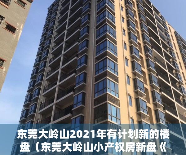 东莞大岭山2021年有计划新的楼盘（东莞大岭山小产权房新盘《大岭国际》松山湖万象汇旁，4栋封闭式花园，门口双地铁口，华为基地500米，小产权中的王者）