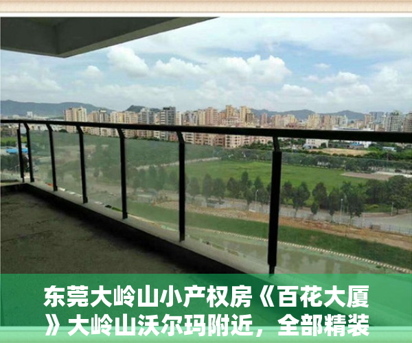东莞大岭山小产权房《百花大厦》大岭山沃尔玛附近，全部精装两房318万一套，三房388万一套