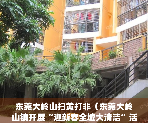 东莞大岭山扫黄打非（东莞大岭山镇开展“迎新春全城大清洁”活动）(大岭山扫黑除恶电话)