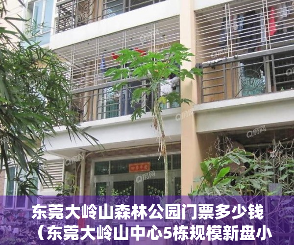 东莞大岭山森林公园门票多少钱（东莞大岭山中心5栋规模新盘小产权「柏林华府」 带停车场 双地铁口楼盘 无条件分期 一房两房三房带装修村委统建楼集资房投资出租笋盘）