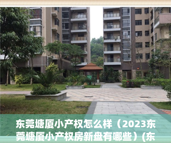 东莞塘厦小产权怎么样（2023东莞塘厦小产权房新盘有哪些）(东莞市塘厦小产权房多少钱一平方)