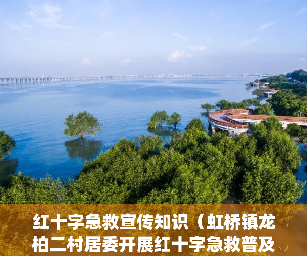 红十字急救宣传知识（虹桥镇龙柏二村居委开展红十字急救普及培训）(红十字急救知识培训考题)