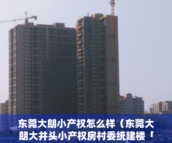 东莞大朗小产权怎么样（东莞大朗大井头小产权房村委统建楼「大朗松湖·星耀城」两栋社区4788起，轻轨口零距离松山湖1公里大朗汽车站500米华为基地1公里）