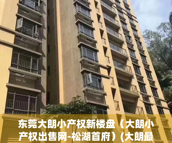 东莞大朗小产权新楼盘（大朗小产权出售网-松湖首府）(大朗最好的小产权房)